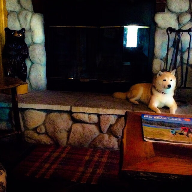 _水上漂流骑行:探险者的新宠_,水上漂流怎么玩