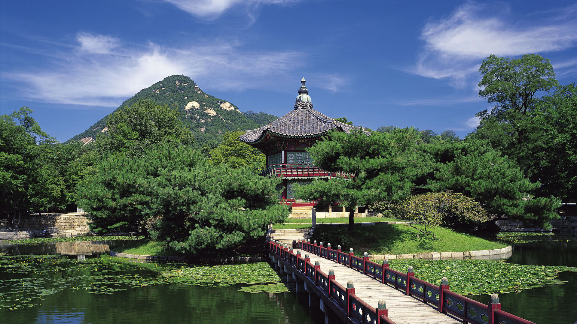 九游游戏在线玩-“青少年足球训练营引入多项创新技术，提升专业水平”，青少年足球训练营价格