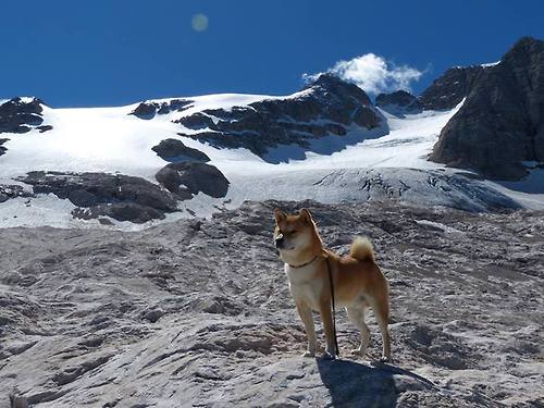 国王队青年力量崛起，球队未来充满希望，国王队青年力量崛起,球队未来充满希望