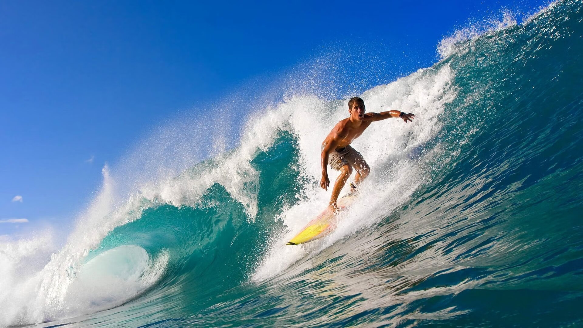 9游电竞资讯-比利时蝶泳年轻选手潜力无限，比利时运动员